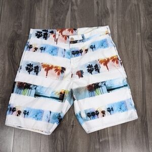 Billabong Swim/Board Shorts Size 32 Medium